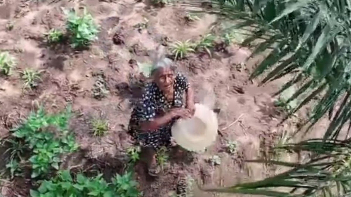 VÍDEO: idosa foge de drone, se esconde e diz: ‘termo do mundo’